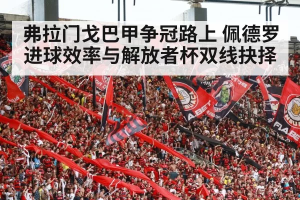 弗拉门戈巴甲争冠路上 佩德罗进球效率与解放者杯双线抉择